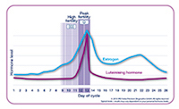 Comprendre le cycle menstruel de la femme, l'ovulation et ...